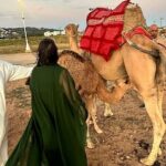 Tangier Package: Camel Ride, Cap Spartel, Hercules Caves & Dining - What Makes This Tour Stand Out?
