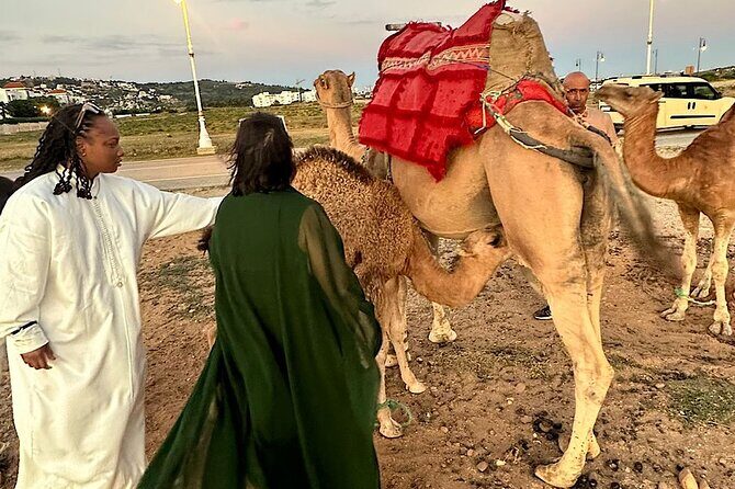 Tangier Package: Camel Ride, Cap Spartel, Hercules Caves & Dining - What Makes This Tour Stand Out?
