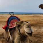 Tangier Private Day Trip from Casablanca by High Speed Train - The Caves of Hercules: Nature Meets Myth
