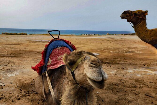 Tangier Private Day Trip from Casablanca by High Speed Train - The Caves of Hercules: Nature Meets Myth