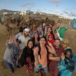 Tangier sight-seeing & cultural Private Tour Camel ride included - Practical Details and Value