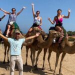 Tangier tour from Malaga all inclusive - The Journey Begins: Malaga to Tangier