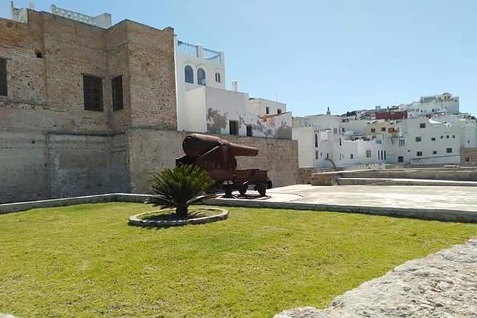 Tangier Walking Private Customized Tour - Who would this tour suit best?