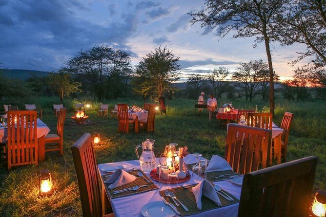 Tanzania Safari 10 Days- Serengeti, Lake Manyara, Ngorongoro Crater. - Detailed Day-by-Day Breakdown