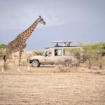 Tanzania Simba Safari - 5 Days - Detailed Tour Breakdown