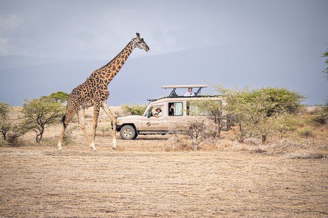 Tanzania Simba Safari - 5 Days - Detailed Tour Breakdown