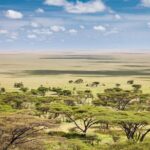 Tanzania Through The Rift Valley - 5 Days - The Importance of Skilled Guides