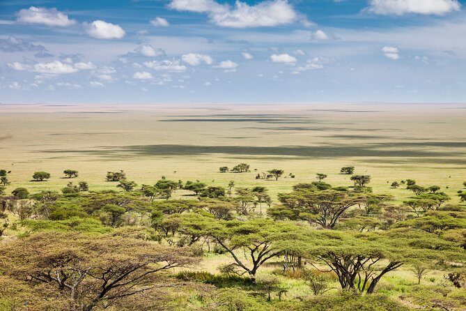 Tanzania Through The Rift Valley - 5 Days - The Importance of Skilled Guides