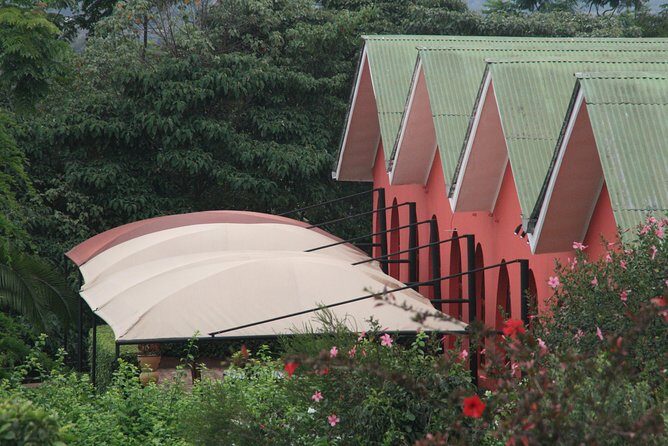 Tanzania wildlife & Cultural Safari- 11days - Comfort and Logistics