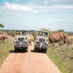 Tanzania Wildlife Encounters - 6 Days - A Deep Dive into the 6-Day Safari Itinerary