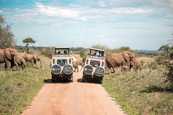 Tanzania Wildlife Encounters - 6 Days - A Deep Dive into the 6-Day Safari Itinerary