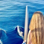 Taormina: Dolphin Tour and Sunset Aperitif Boat Tour - Why This Tour Is a Great Value