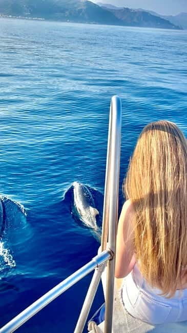 Taormina: Dolphin Tour and Sunset Aperitif Boat Tour - Why This Tour Is a Great Value
