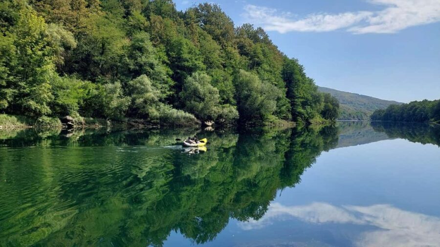 Tara National Park: Drina River Kayak or SUP Tour with Guide - Highlights of the Tour