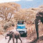 tarangire & ngorongoro 2 days tour - Practical Tips for Your Safari