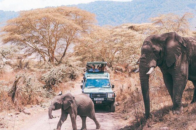 tarangire & ngorongoro 2 days tour - Practical Tips for Your Safari