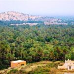 Tardoudant Tiout Oases Explore - FAQ