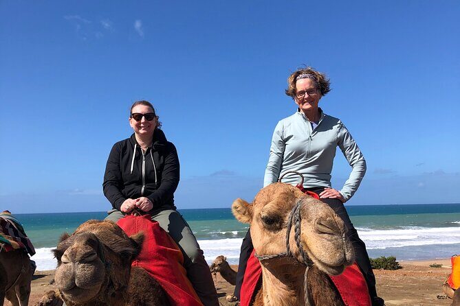 Tarifa to Tangier Tour with ferry ticket , lunch & camel ride - Practical Tips for Making the Most of Your Tour