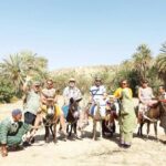 Taroudant and Tiout the mini Marrakech - Tiout and the Oasis: A Refreshing Stop