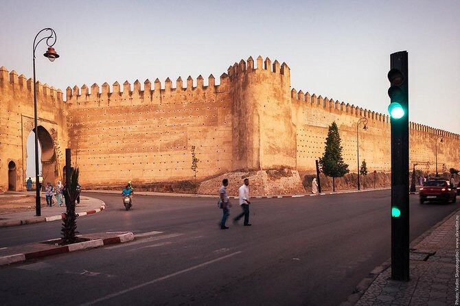Taroudant half day excursion from Agadir - Argan Tree and Goats Stop
