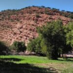 Taroudant the berber city +The Oasis of Tiout village - The Highlight: The Oasis of Tiout and Kasbah