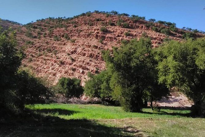 Taroudant the berber city +The Oasis of Tiout village - The Highlight: The Oasis of Tiout and Kasbah