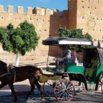 Taroudant & Tiout Day Trip Tour - Detailed Review of the Tour