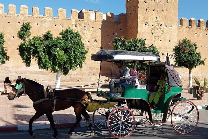 Taroudant & Tiout Day Trip Tour - Detailed Review of the Tour