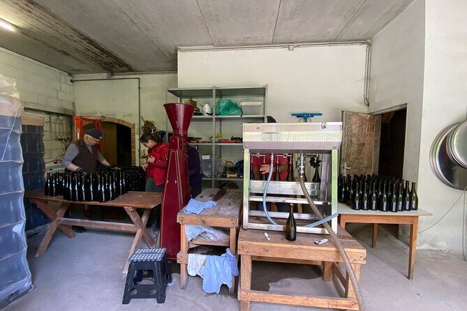 Taste and Tour Small Organic Wineries with a Winemaker - Authentic Experiences and Insider Access