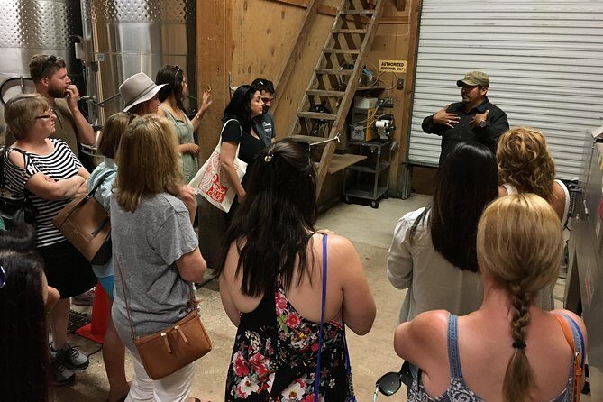 Taste of Fredericksburg Small-Group Wine Tour from San Antonio - The Guides and Experience