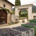 Tasting in the cellar, in Caprino Veronese, Pesina. - The Location and What You Can Expect