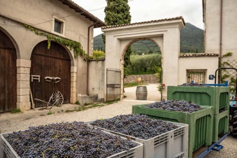 Tasting in the cellar, in Caprino Veronese, Pesina. - The Location and What You Can Expect