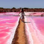 Tavira: 4x4 Jeep Adventure, Salt Pink Pans & Hidden Nature - Flamingo Zone & Wildlife Spotting