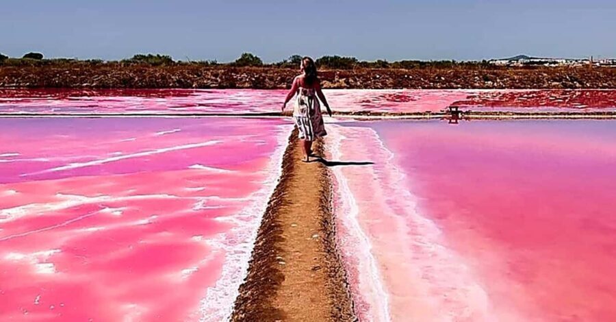 Tavira: 4x4 Jeep Adventure, Salt Pink Pans & Hidden Nature - Flamingo Zone & Wildlife Spotting
