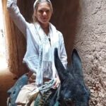 Taxi Marrakech to Agafay- Taxi Agafay to Marrakech - Breakdown of the Transfer Experience
