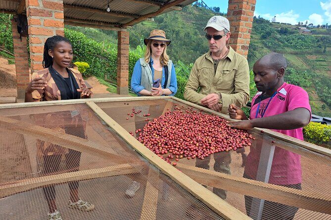 Tea and coffee tours - Authentic Experiences and Guides