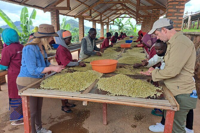 Tea and coffee tours - What Could Be Improved?