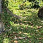 Tea and Culture Route - Practicalities and Value