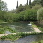 Tel Dan and Baniyas National Parks Private Tour - Why This Tour Offers Great Value