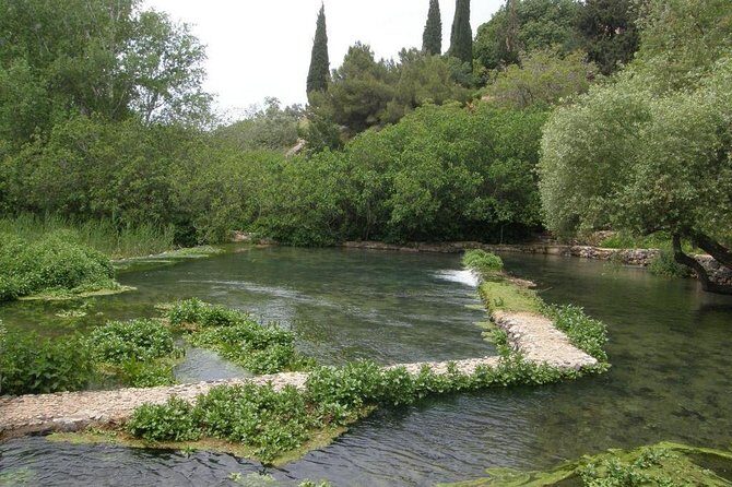 Tel Dan and Baniyas National Parks Private Tour - Why This Tour Offers Great Value
