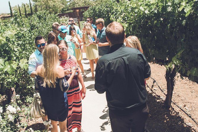 Temecula Valley Morning Wine Tour with Tastings and Cheeseboard - The Real Guest Experience