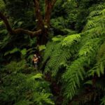 Tenerife: Anaga and La Laguna VIP Tour - Who Will Love This Tour?