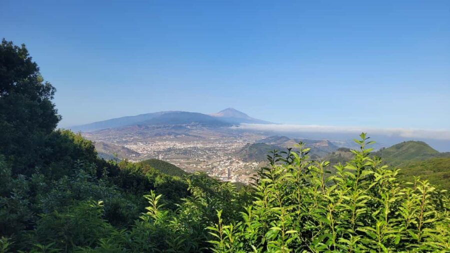 Tenerife Anaga Mountains: Circular hike in the laurel forest  small group max. 10 - The Value of the Experience