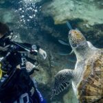 Tenerife: Beginner Scuba Dive Experience with Small Groups - Who Should Consider This Experience?