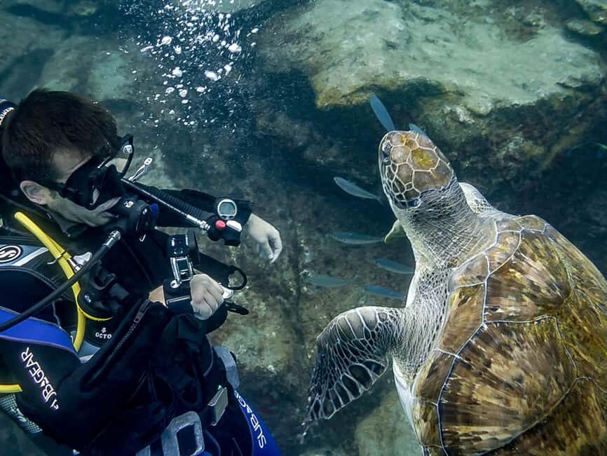 Tenerife: Beginner Scuba Dive Experience with Small Groups - Who Should Consider This Experience?
