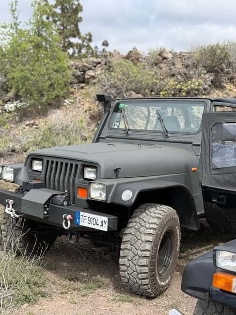 Tenerife: Coastal tour in a Jeep Wrangler to Los Gigantes and the South Coast - What Makes This Tour Stand Out