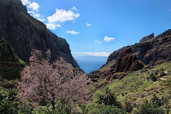 Tenerife Grand Tour: including Teide National Park and Masca - Who Would Love This Tour?