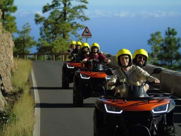 Tenerife Guide Quad Bike Tour Teide National Park - Is This Tour Worth the Price?