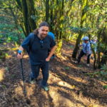 Tenerife: Hike Above Masca in Enchanted Forest with Pick-up - The Scenic Highlights