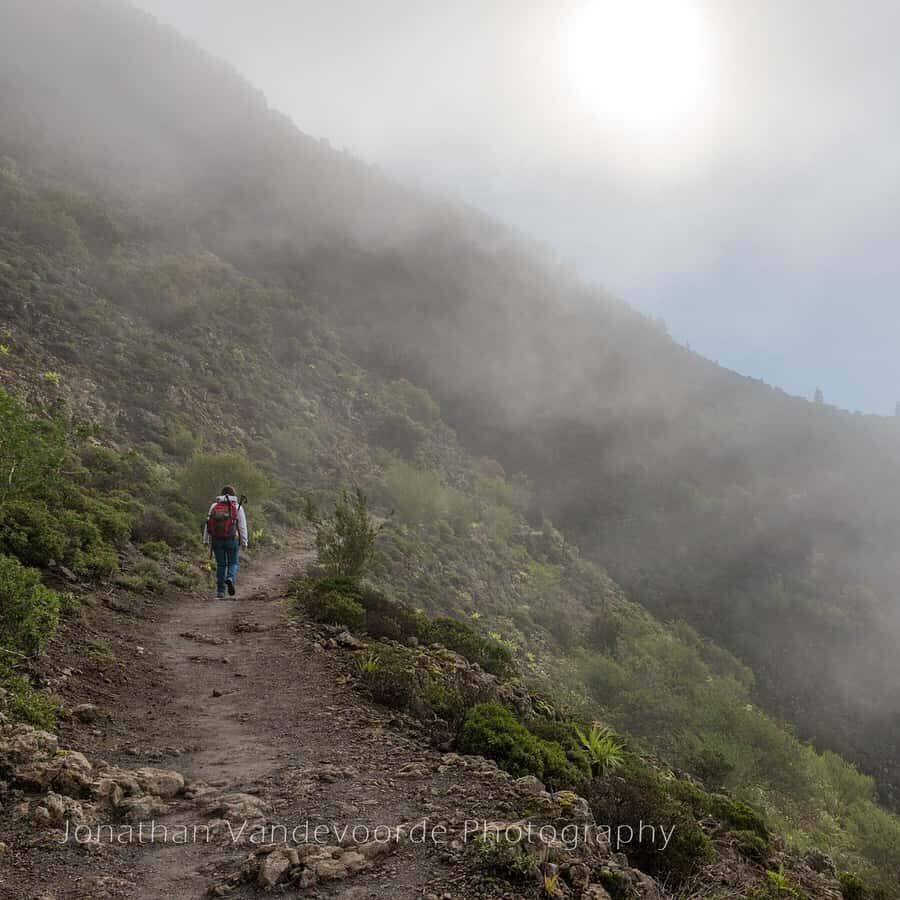 Tenerife: Hiking through Teno and the hamlet of Masca - Why the Tour Offers Great Value